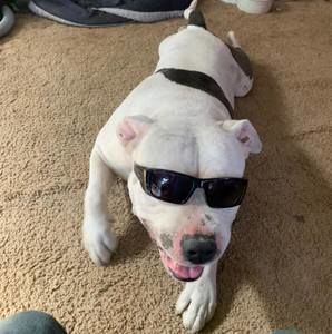 Meet your Posher, Todd